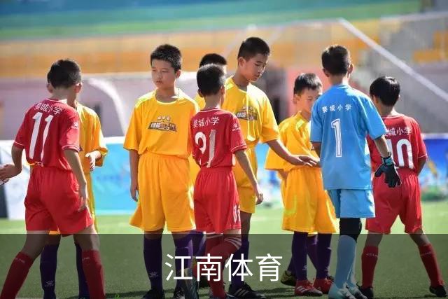 江南体育公司简介